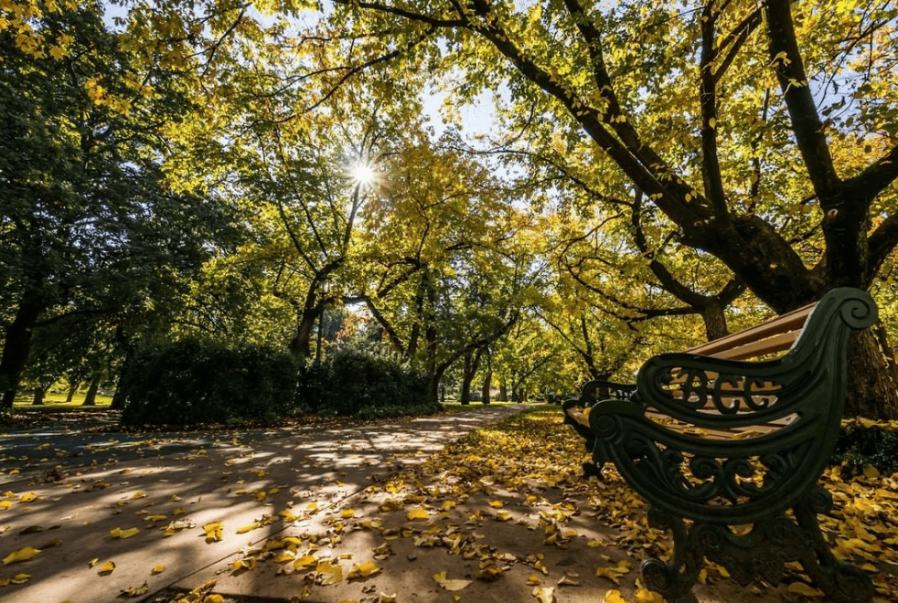 rosalind park