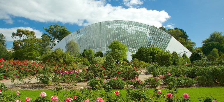 adelaide botanic gardens and beyond