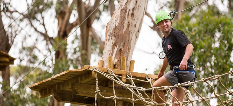 anglesea live wire park