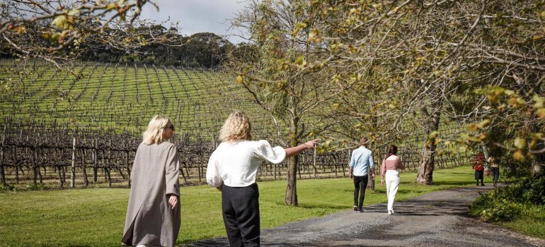 aphelion wine co wine tastings in mclaren vale