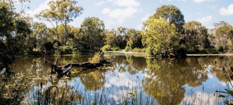 Best Things to do in Hervey Bay visiting the Arkarra Lagoon