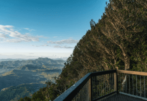 best of all lookout