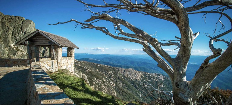 best things to do in bright going to the mount buffalo national park