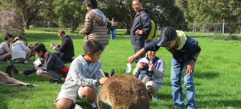 best things to do in bunbury visiting the wildlife park