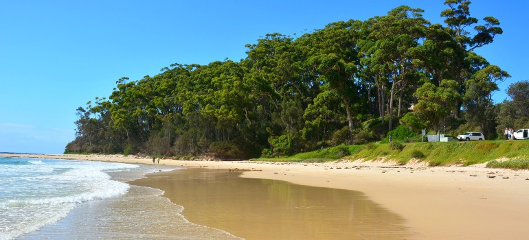 best things to do in ulladulla going to the mollymook beach