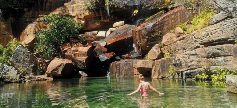 blackdown tableland national park