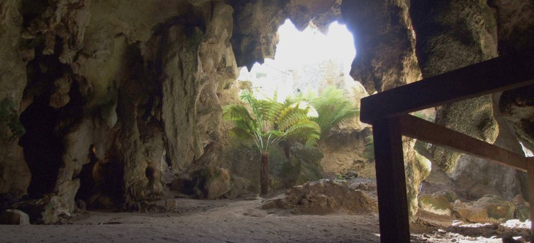 blanche cave naracoorte