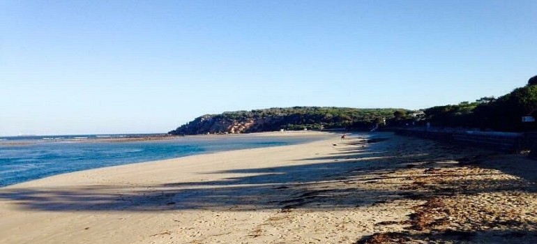 buckley park foreshore reserve
