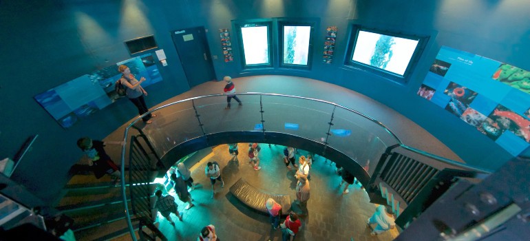 busselton jetty underwater observatory