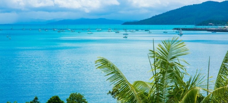 cannonvale queensland