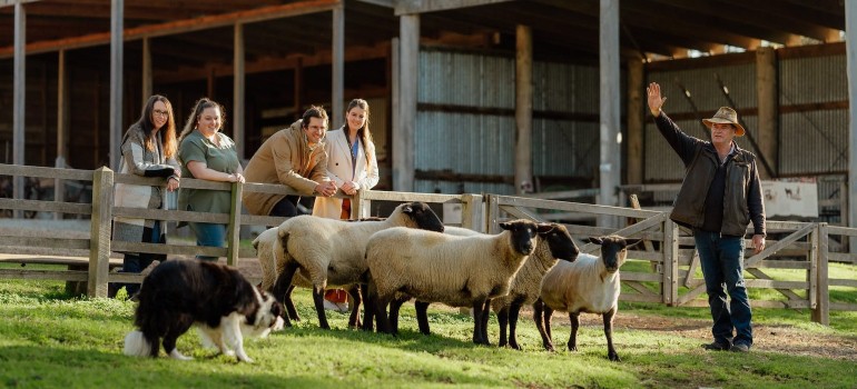 churchill island heritage farm