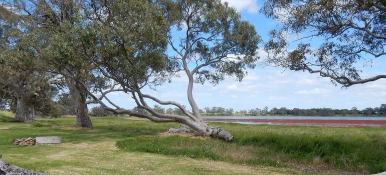 cockatoo lake recreation reserve