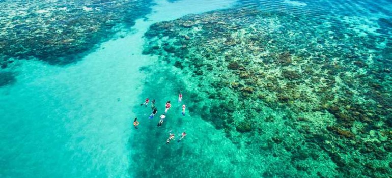 coral cay wonders