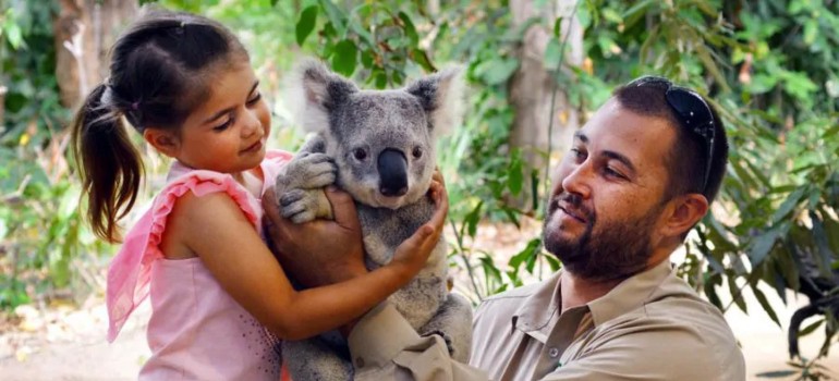 currumbin wildlife sanctuary