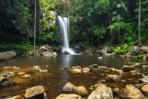 curtis falls