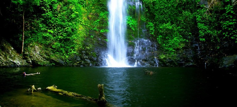 daintree discovery tours