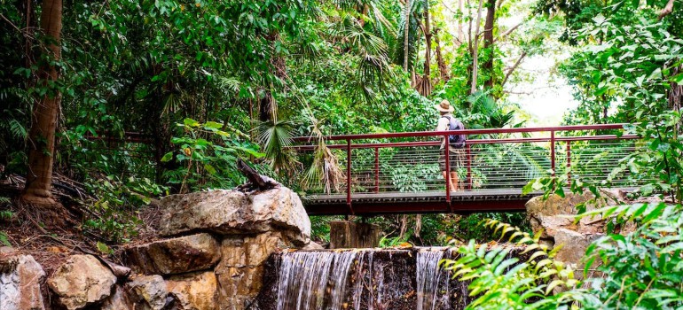 darwin botanic gardens
