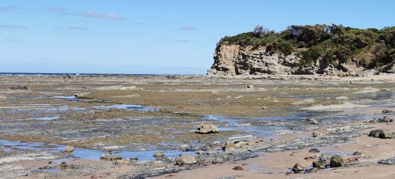 dinosaur dreaming fossil site