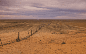 dog fence
