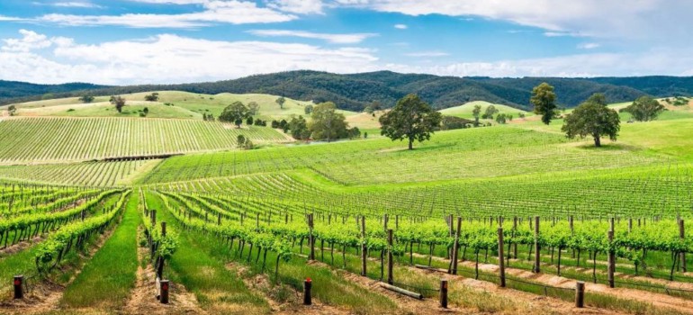 eden valley best things to do in murray bridge