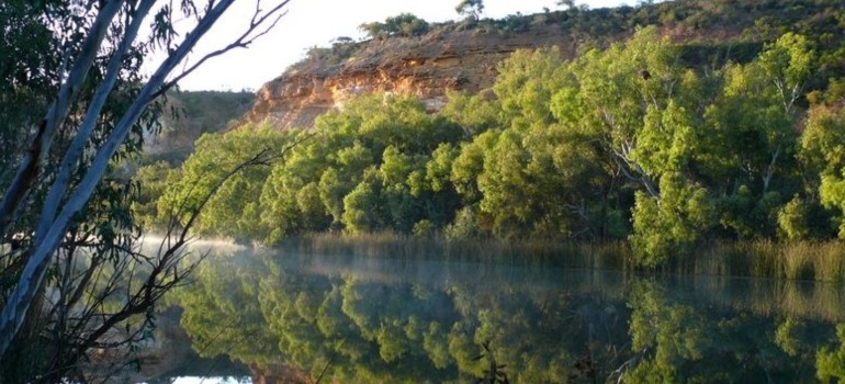 ellendale pool