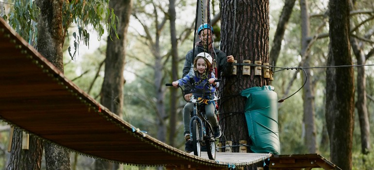 forest adventures south west