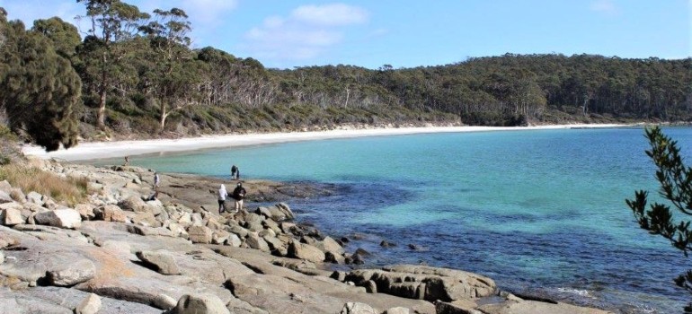 fortescue bay