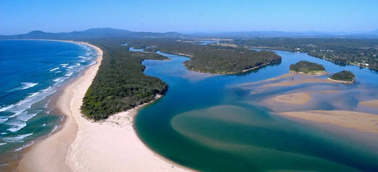 gaagal wanggaan national park things to do in nambucca