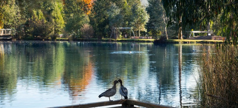 gallipoli park