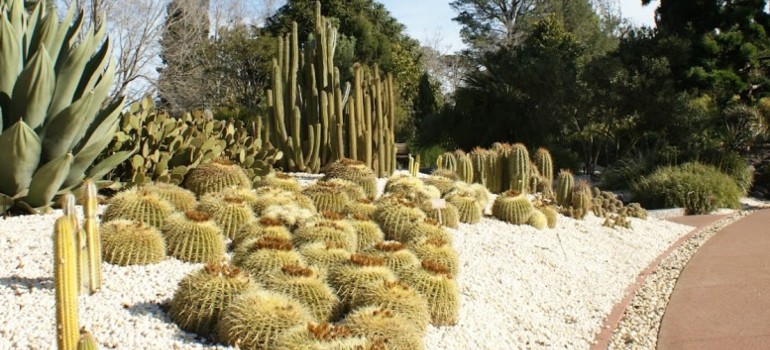 geelong botanical gardens