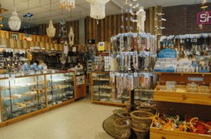 griffiths' sea shell museum & marine display