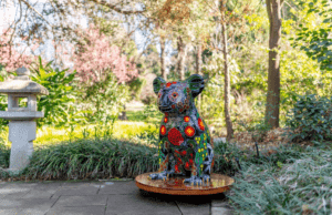 hello koalas sculpture trail
