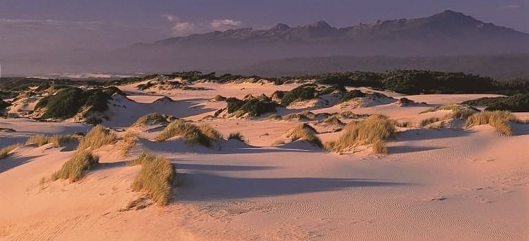 henty dunes