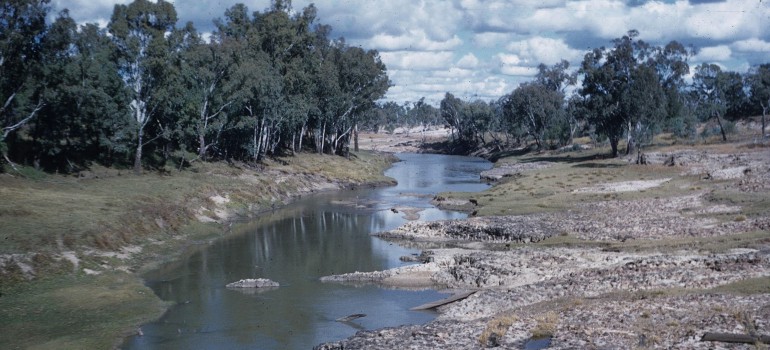 hidden gems in chinchilla