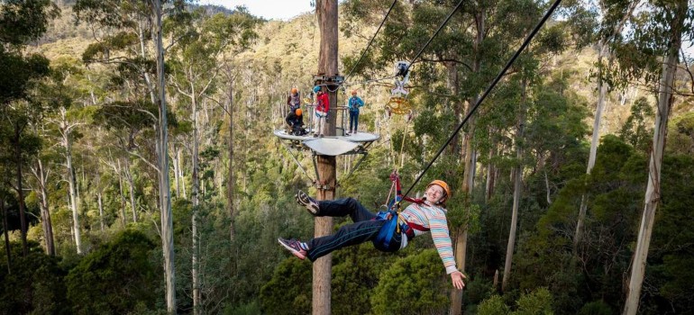 hollybank wilderness adventures