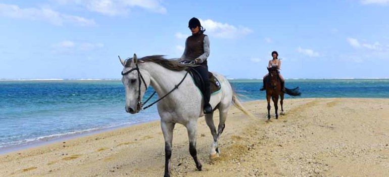horse riding on the beach