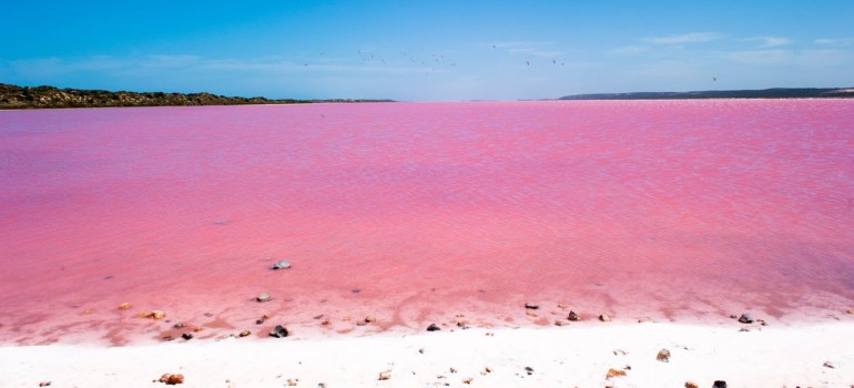 kalbarri pink lake