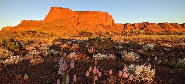 kennedy range national park