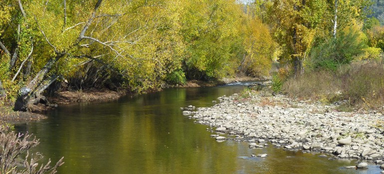 kiewa river bright