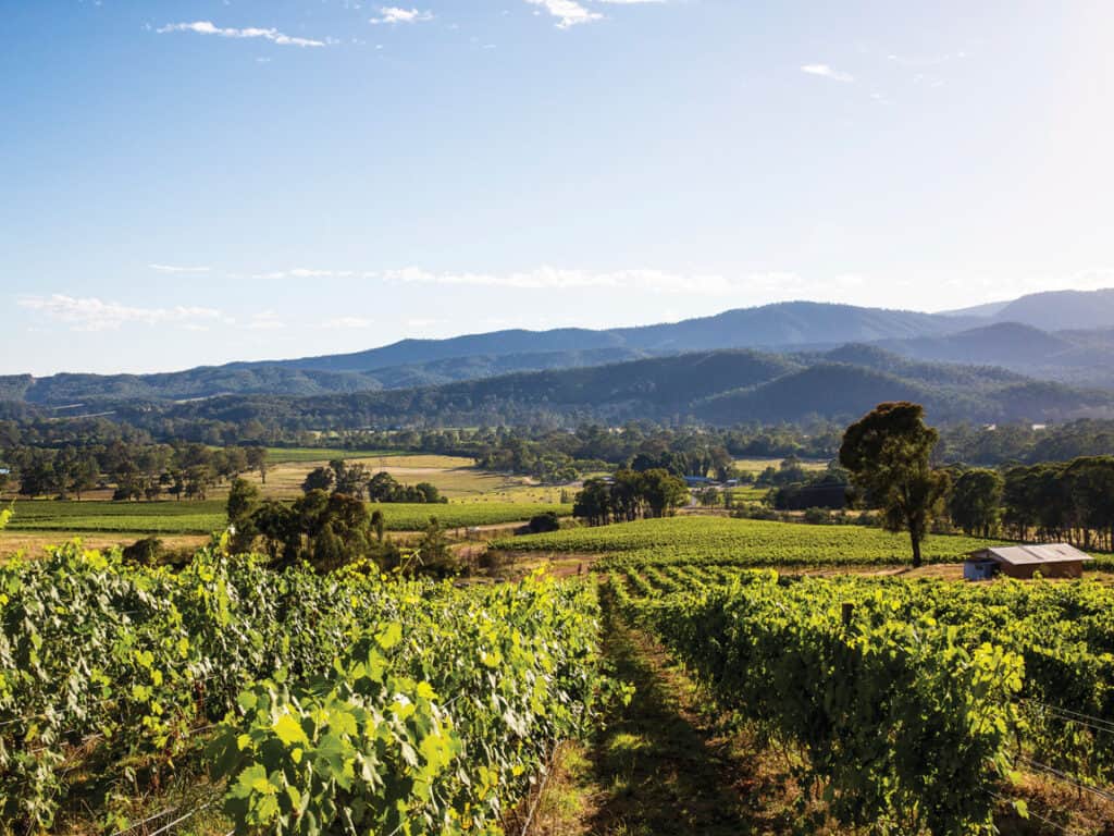 king valley wine region