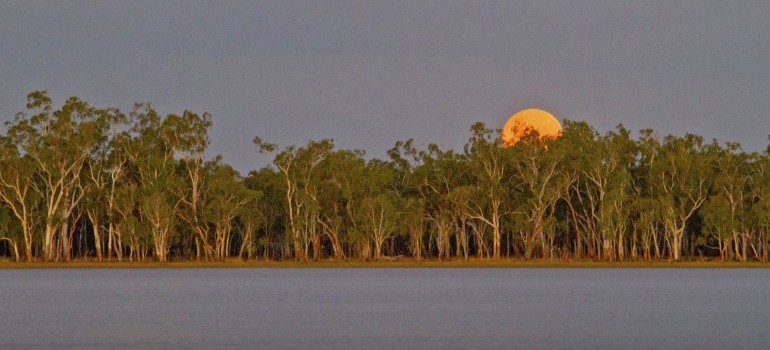 Lake Broadwater Conservation Park