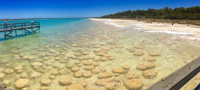 lake clifton