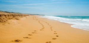 lakes entrance beach