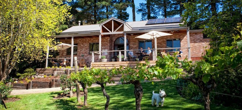 main ridge estate winery in mornington peninsula