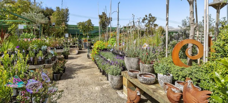 mcgain's nursery, cafe & food store