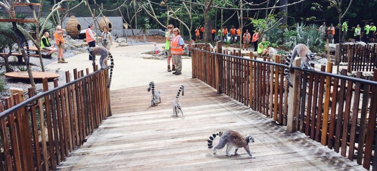 melbourne zoo