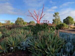 melton botanic garden