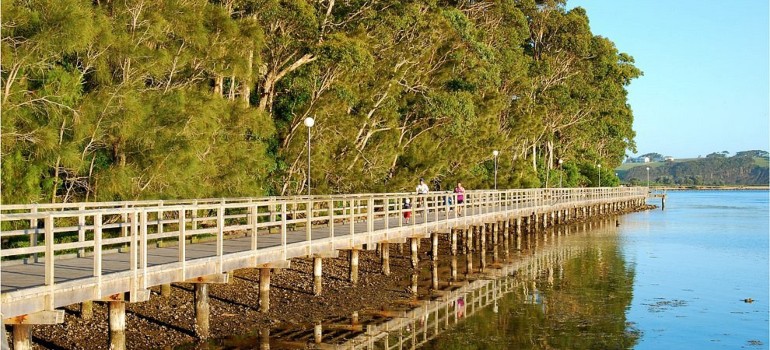 mill bay boardwalk things to do in narooma