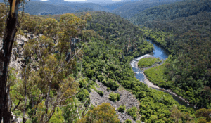 mitchell river walk