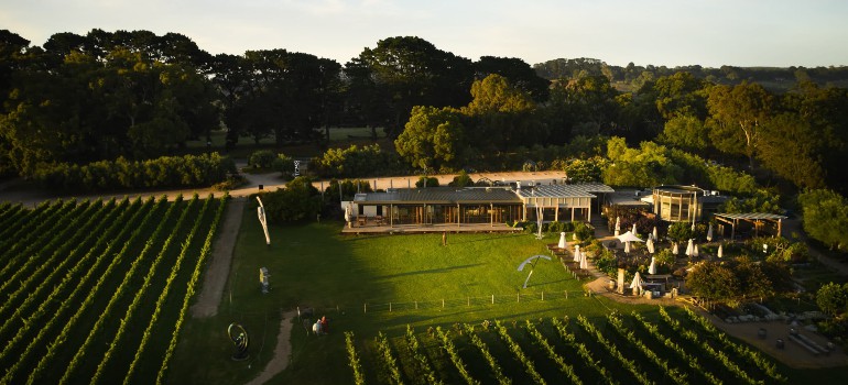 montalto mornington peninsula winery